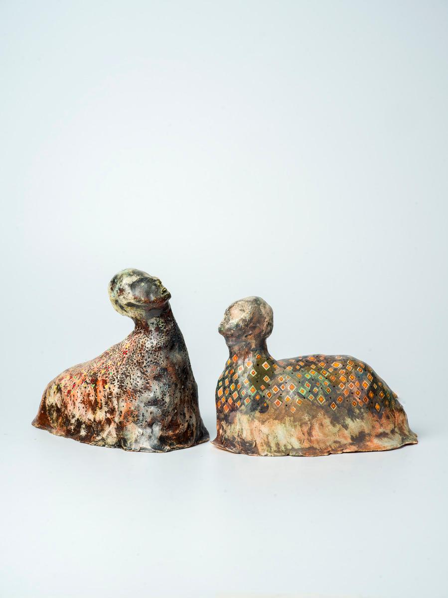 Mollusca Vii 14 and 9