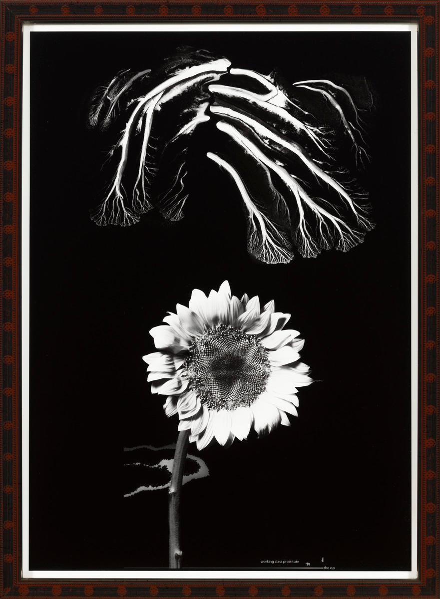 Working class prostitute (flower), image 2