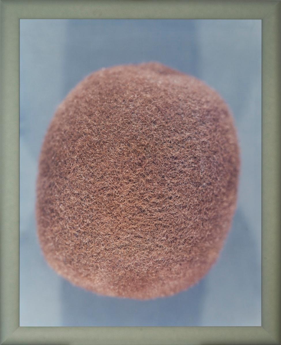 Kiwifruit (Paris collection)