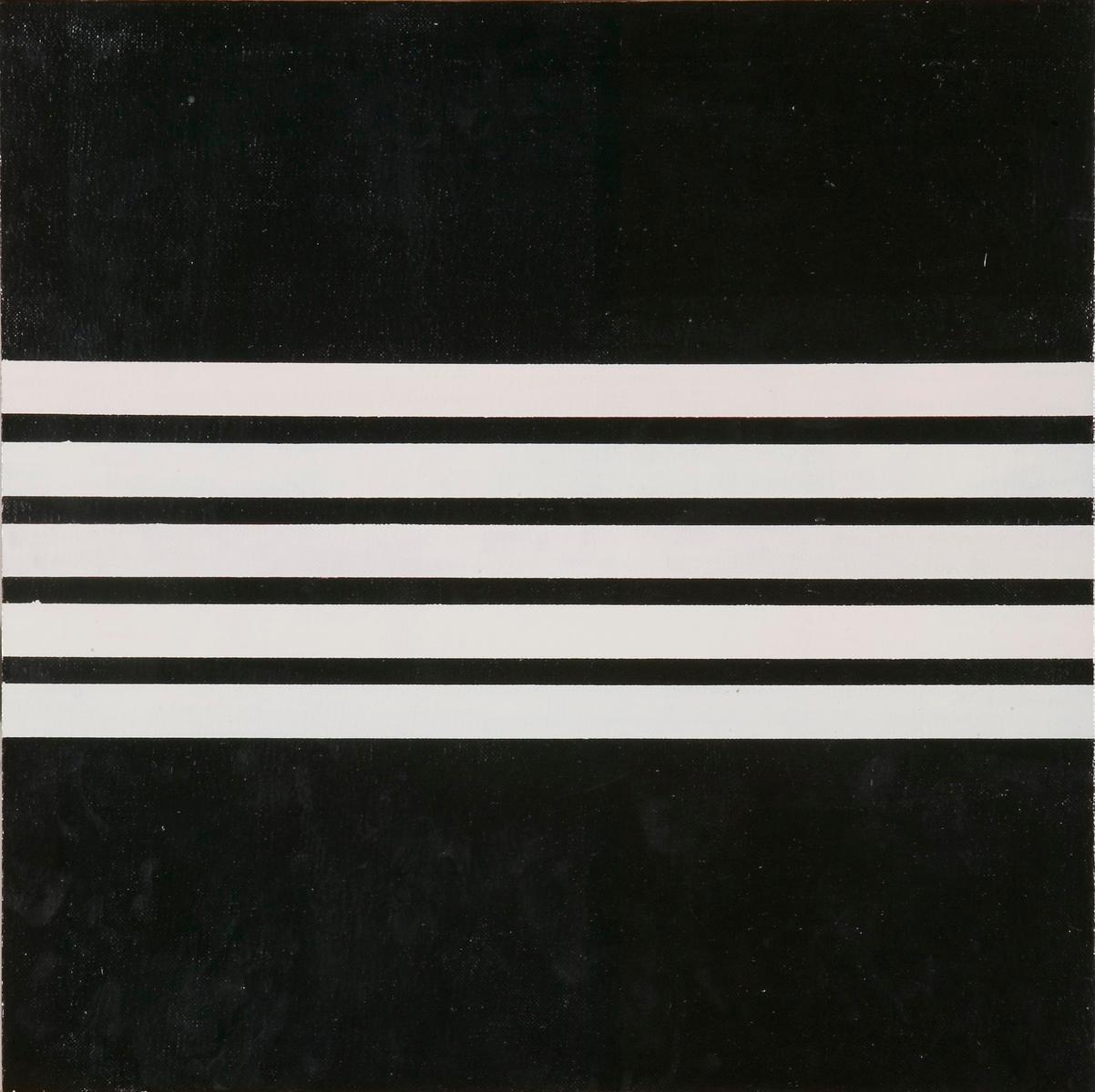 Black and white stripes