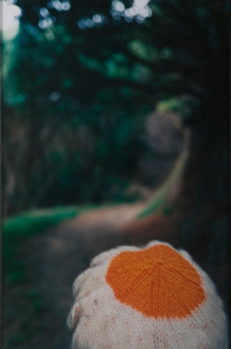 Beany